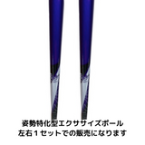 カワハラポール＋収納ケース　送料無料キャンペーン