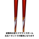 カワハラポール＋収納ケース　送料無料キャンペーン