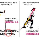 カワハラポール＋収納ケース　送料無料キャンペーン