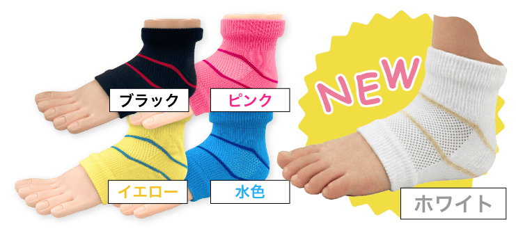 カラーバリエーション
